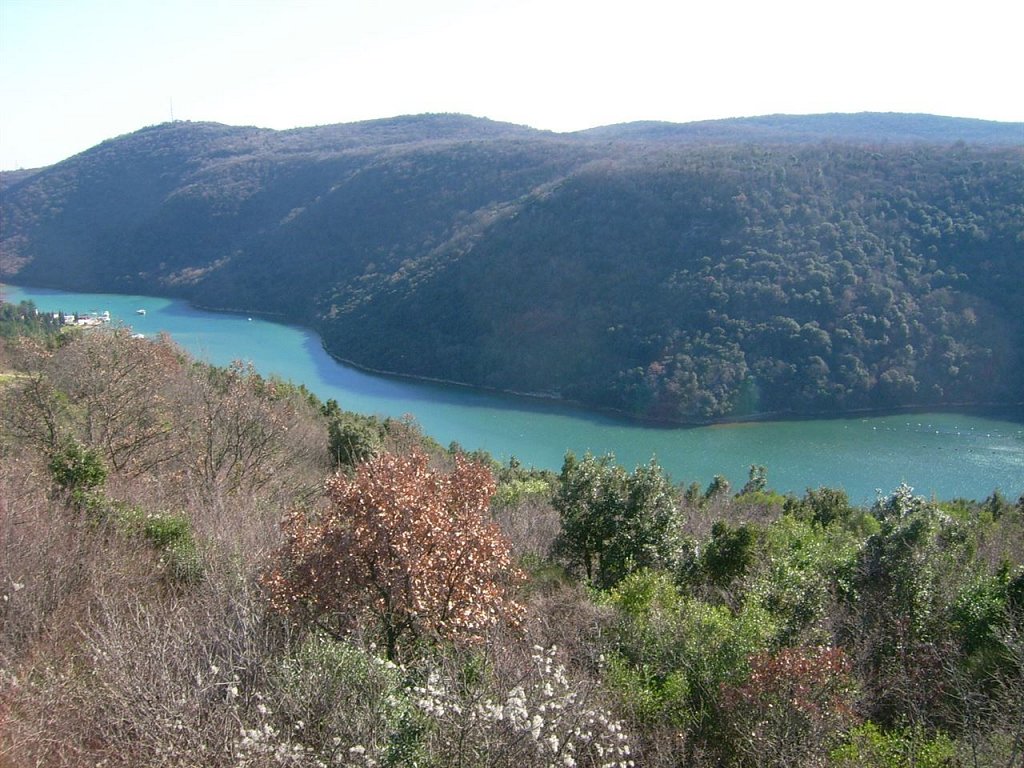 DSCI0209.jpg