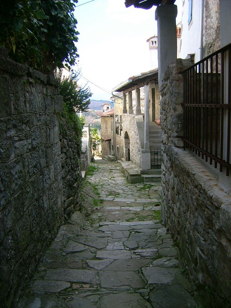 DSCI0256.jpg
