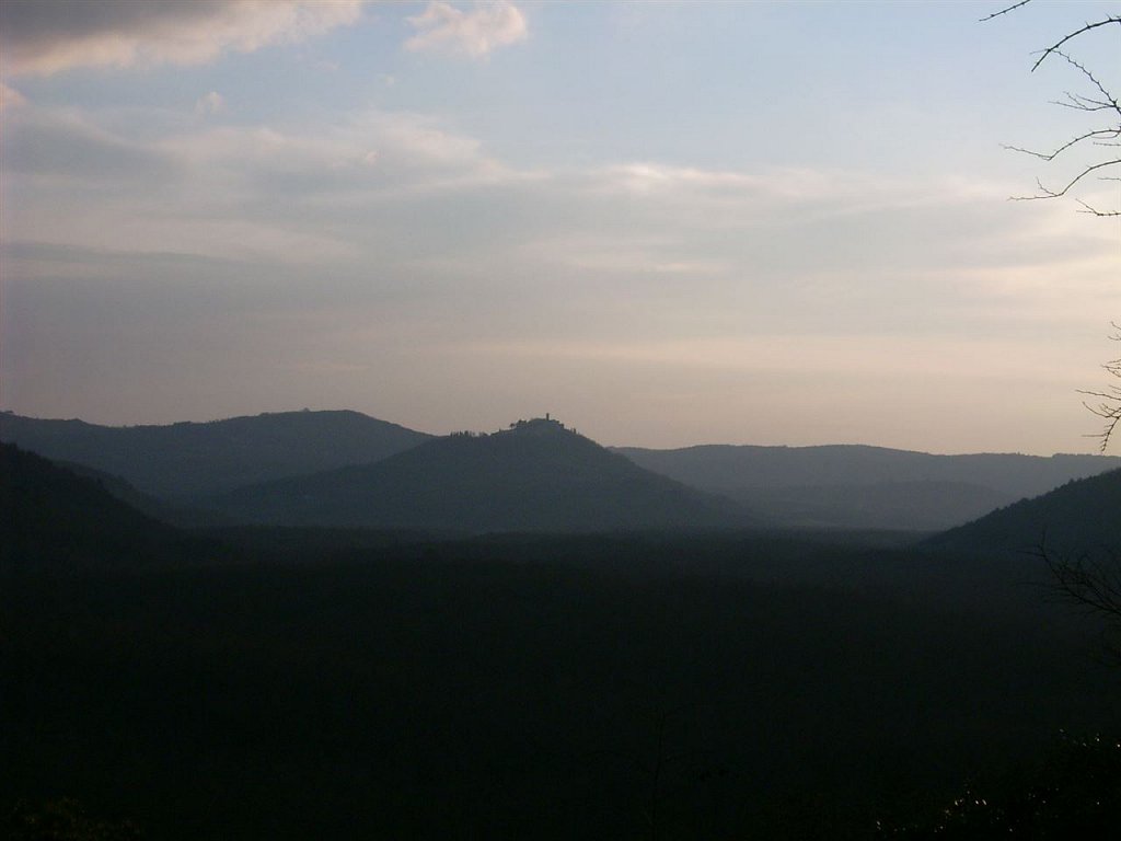 DSCI0262.jpg