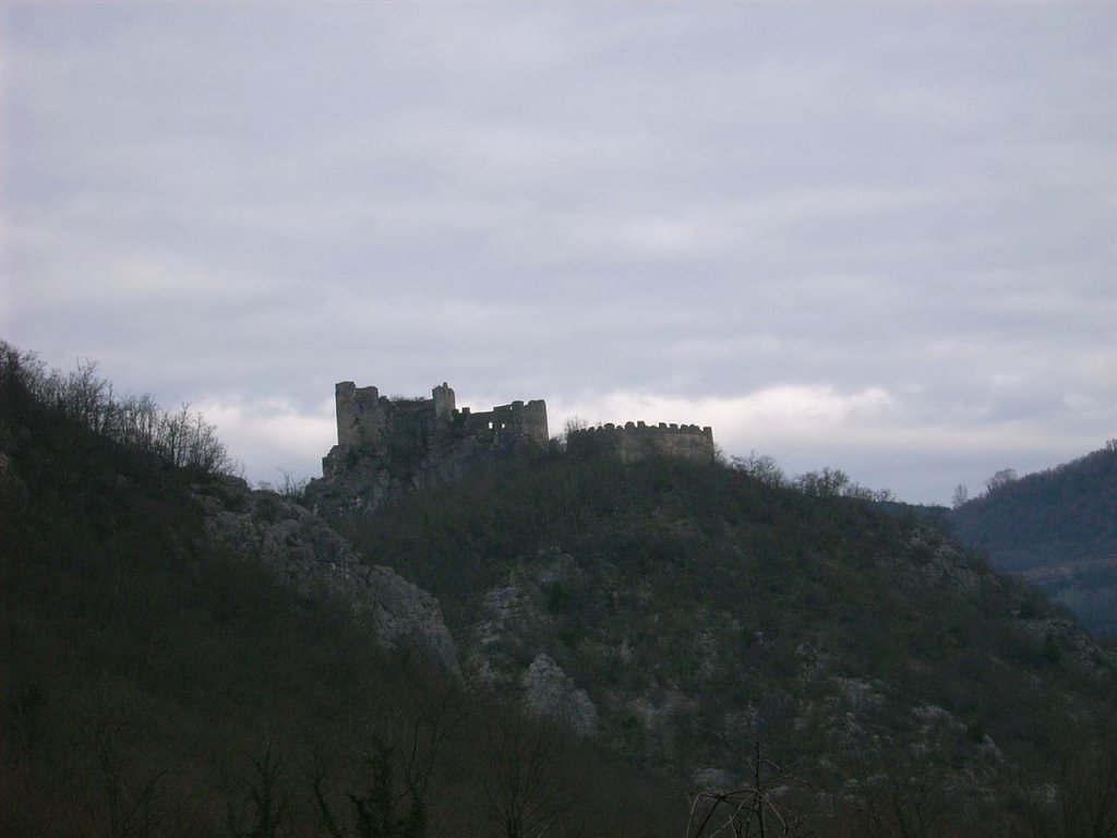DSCI0283.jpg