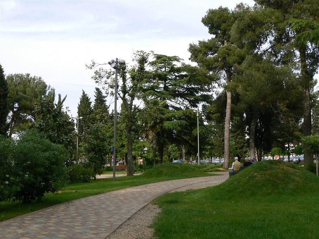 s-009.jpg