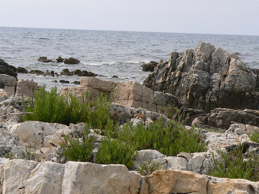 s-018.jpg