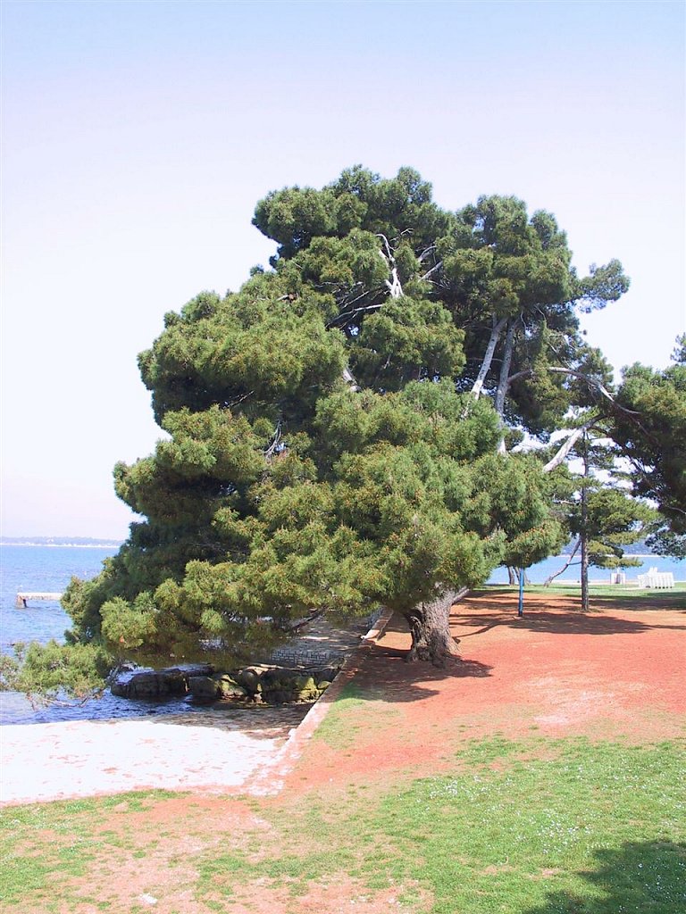 s-030.jpg