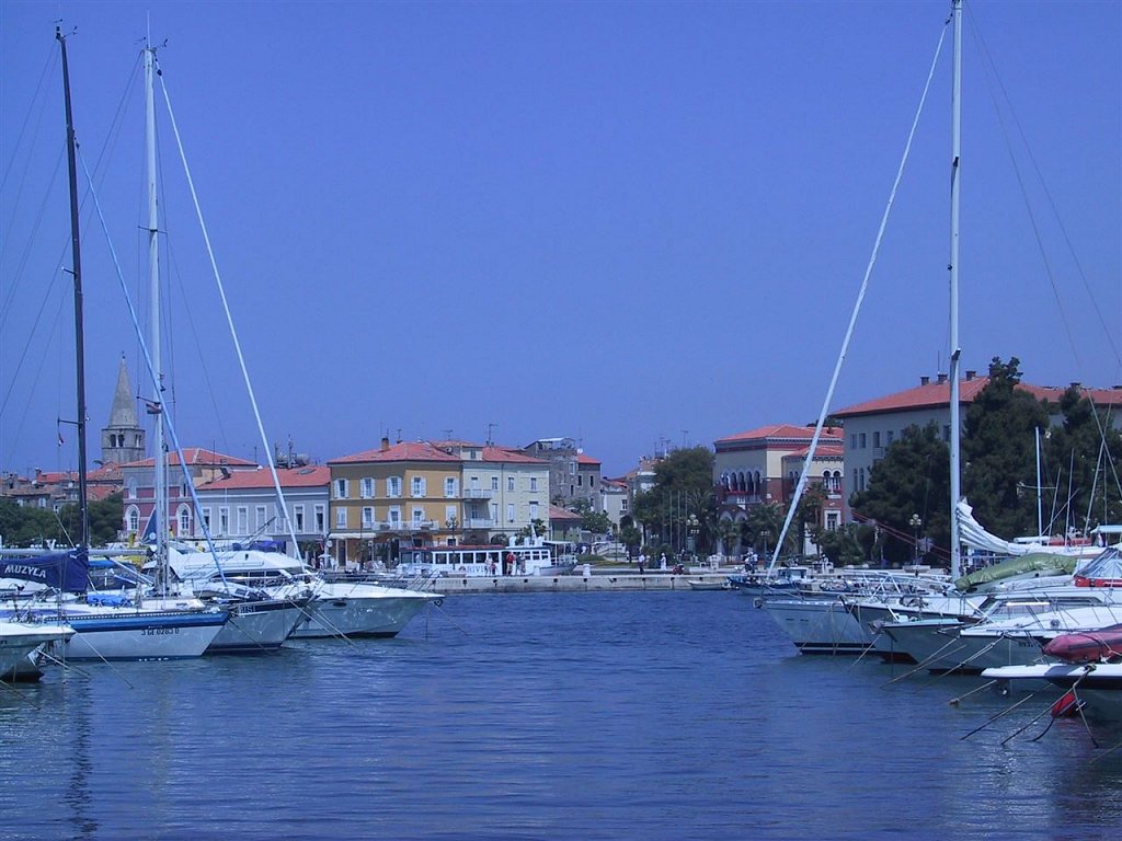 s-036.jpg